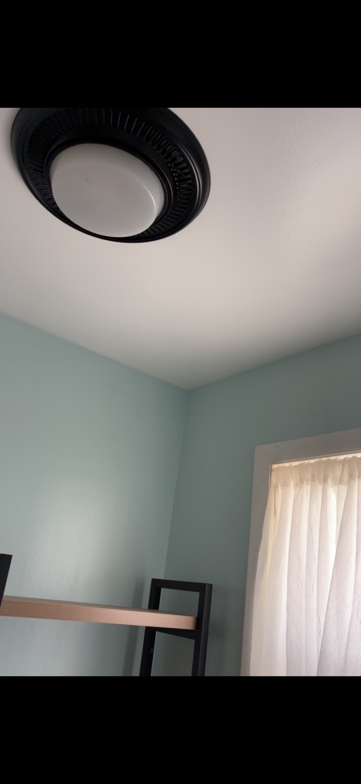 Freshly painted room with crisp ceiling lines